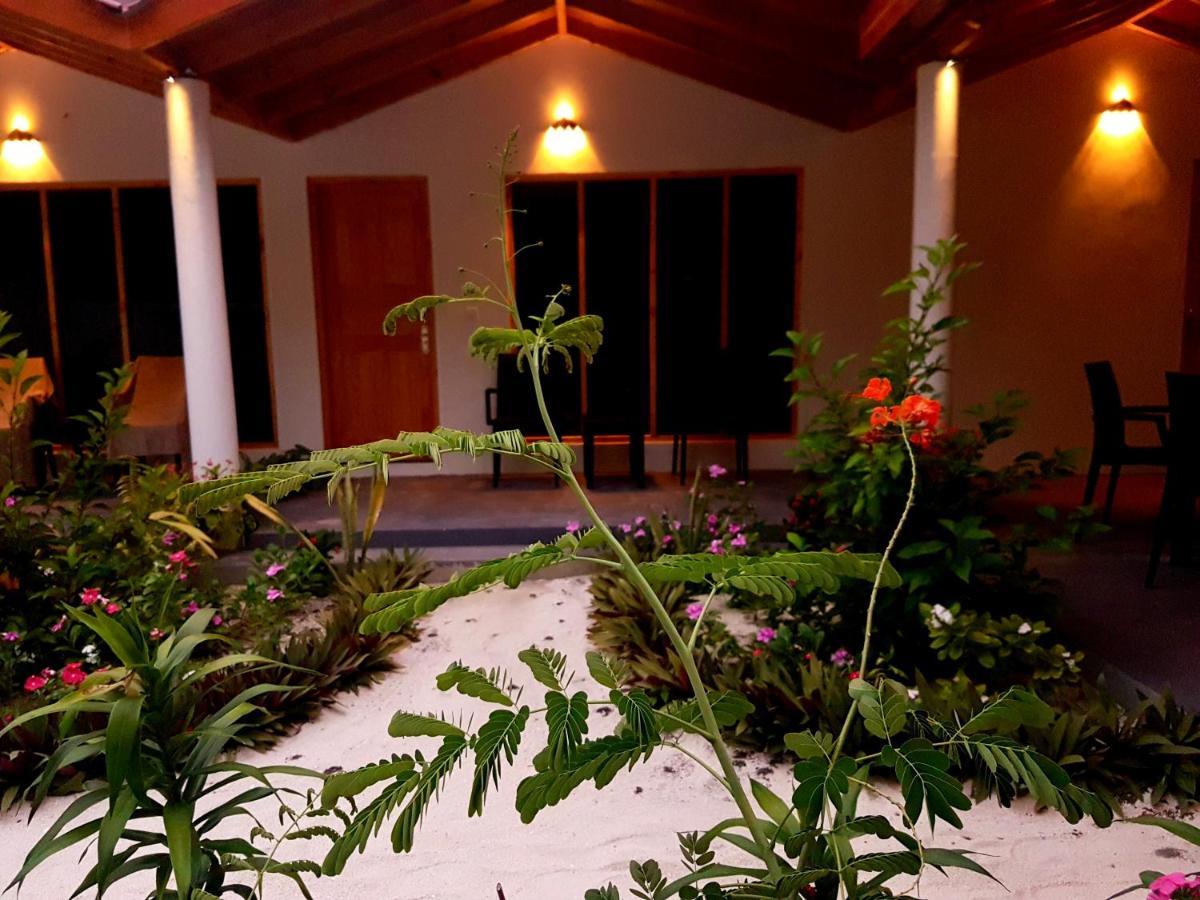 Thoddoo Beach Holiday Extérieur photo
