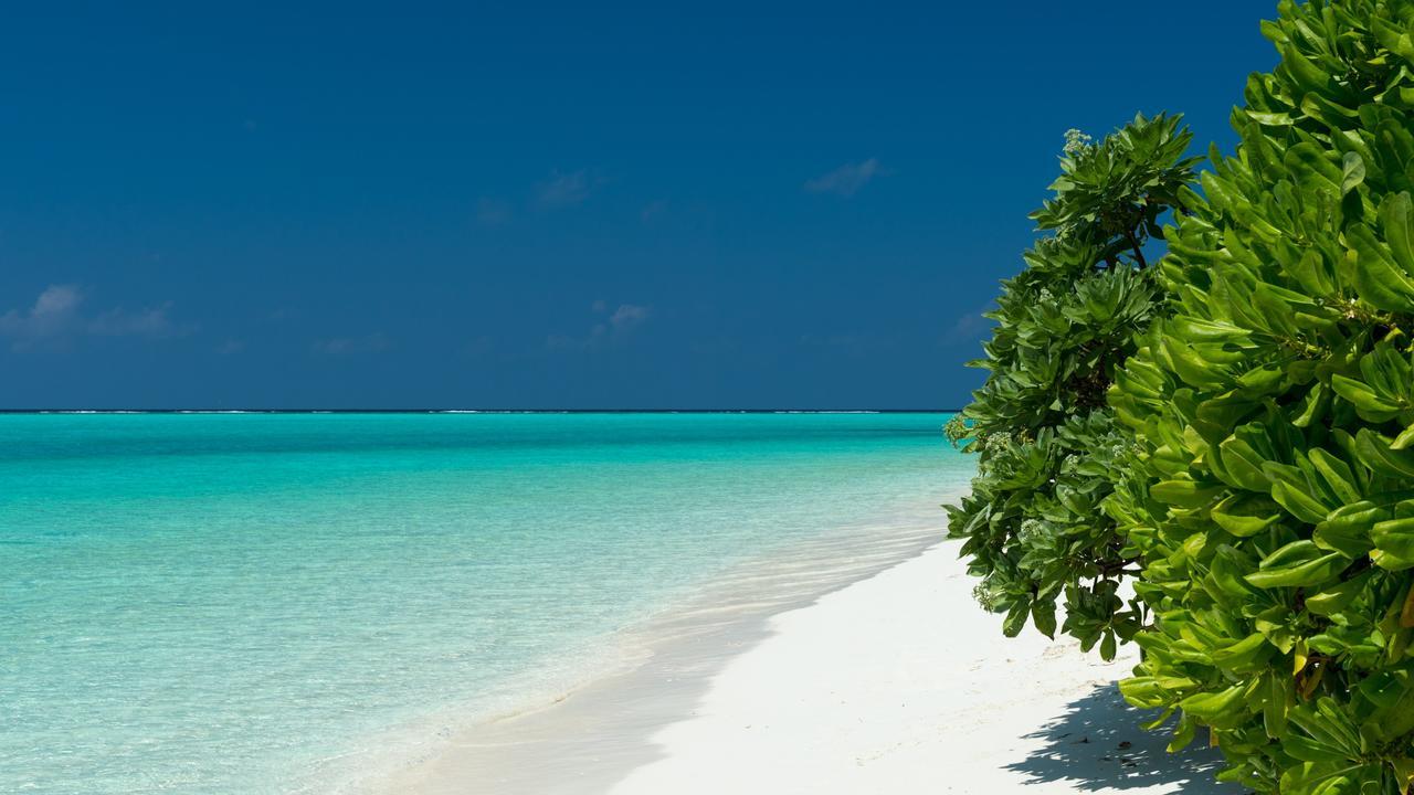 Thoddoo Beach Holiday Extérieur photo