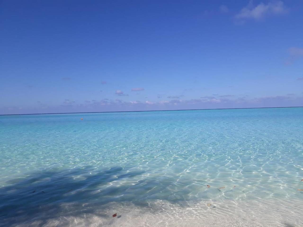 Thoddoo Beach Holiday Extérieur photo