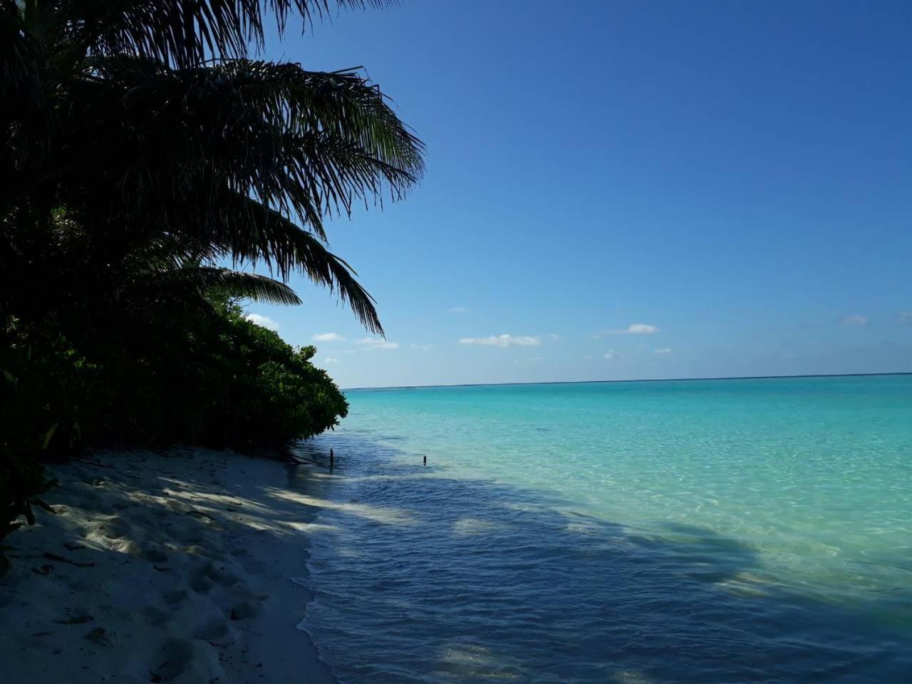 Thoddoo Beach Holiday Extérieur photo
